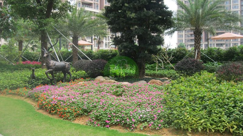 成都庭院景观设计施工公司排名