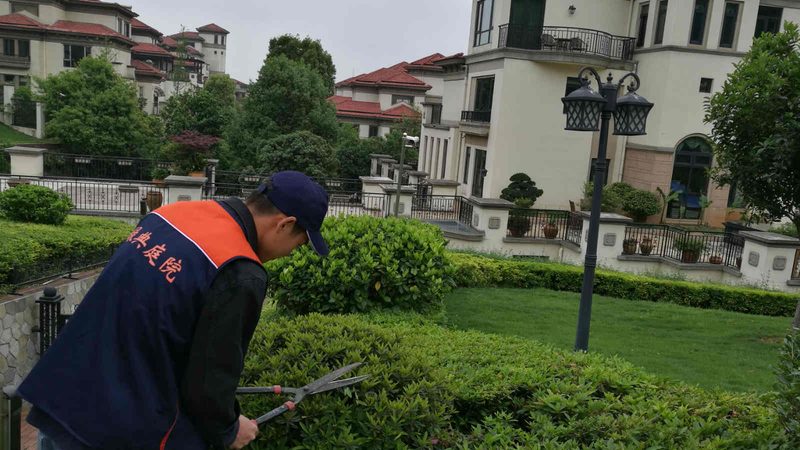 加盟立体绿化前，先想清楚这几件事