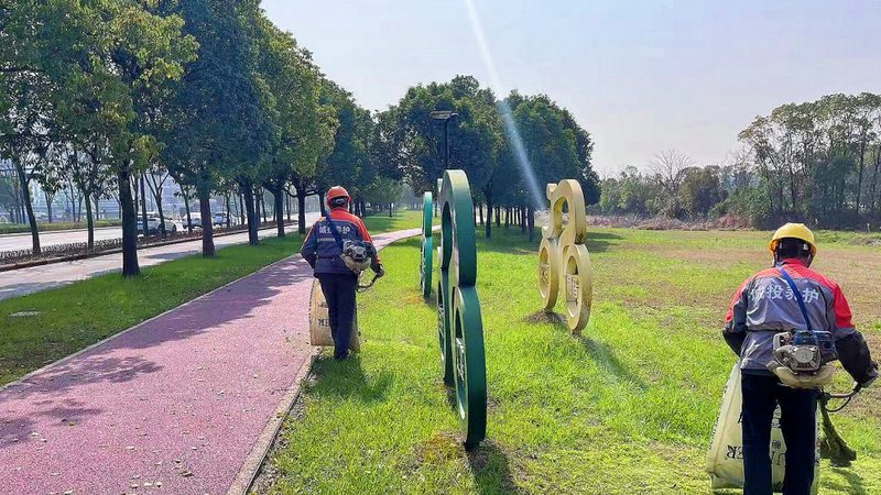绿植租摆的配色法则：让空间高级感翻倍