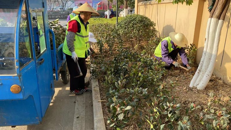 草坪防杂草复合膜：守护绿色家园的秘密武器