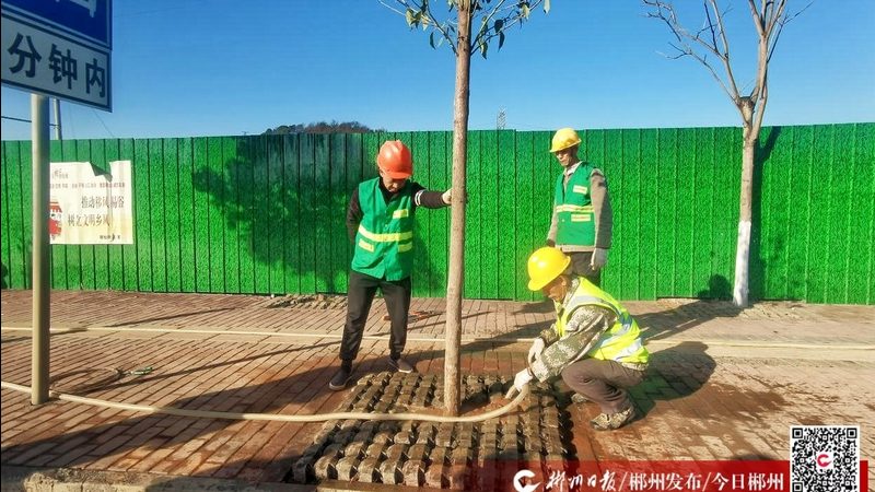 园林绿化土建工程现场管理的五大关键点**