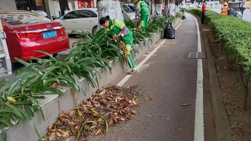 立体绿化墙体材料哪种好？关键在于这几点