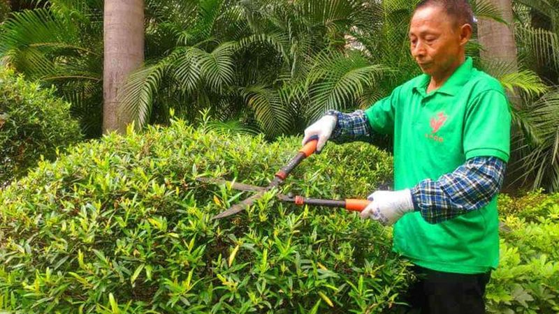 园林公司养护服务报价表：解读其背后的价值与考量