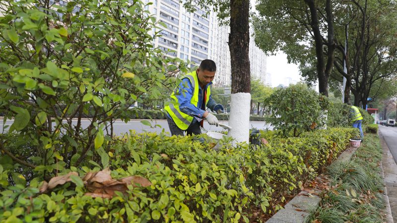 小区绿化植物搭配设计，打造宜居生态家园