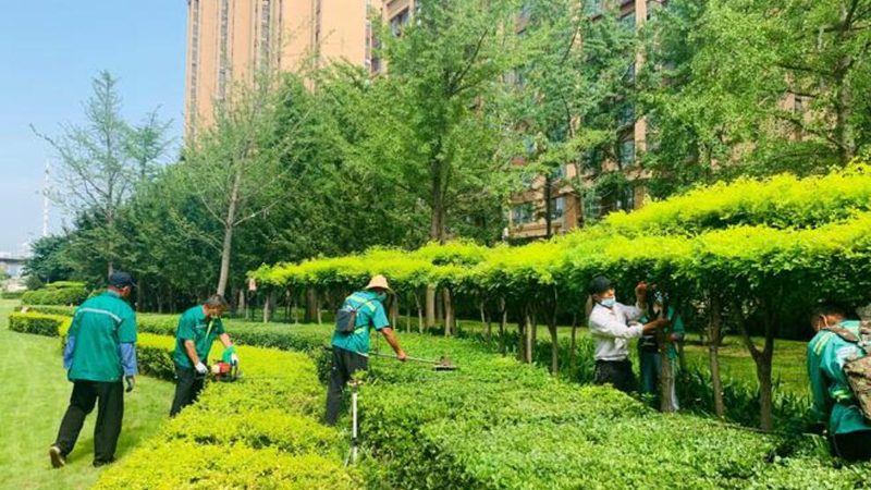 广州绿植租赁划算还是买划算
